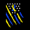 American Flag Down Syndrome-8 DTF Transfer