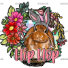 Hip Hop Bunny DTF Transfer