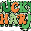Lucky Charm Retro DTF Transfer