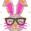 Silver Bunny DTF Transfer