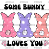 Some Bunny Loves You-1 DTF Transfer