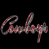 Cowboys Patch (Large/Sequin)