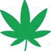Weed flower DTF Transfer
