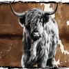 Highland Cow-2 DTF Transfer