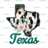 Texas Cactus Cowhide DTF Transfer