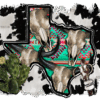 Western Texas-2 DTF Transfer