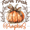 Farm Fresh Pumpkins-2 DTF Transfer